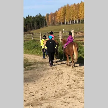 Kolin Pikkukolo - Saunallinen Studiohuoneisto Apartamento