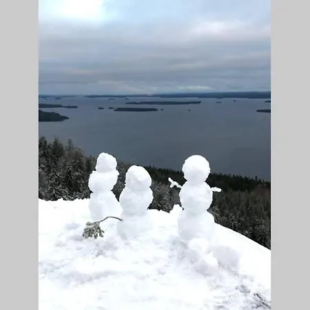 Kolin Pikkukolo - Saunallinen Studiohuoneisto Apartamento