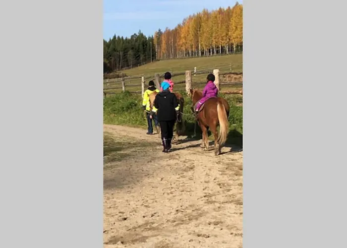 Kolin Pikkukolo - Saunallinen Studiohuoneisto شقة