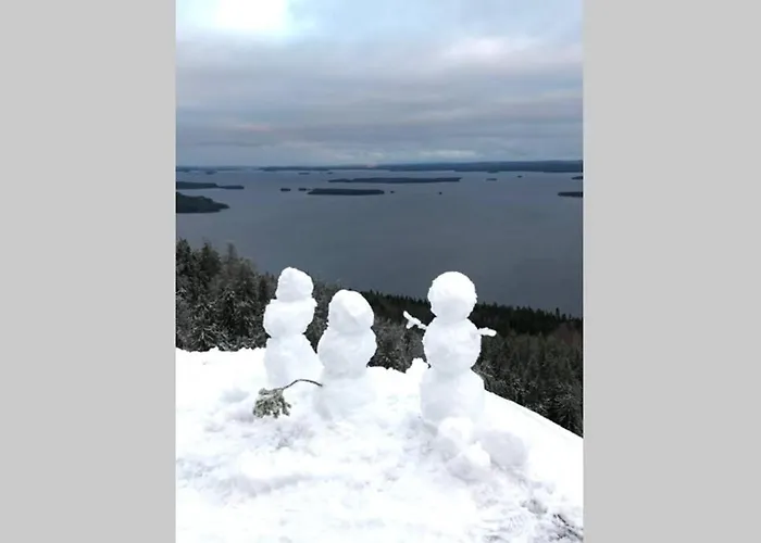 Kolin Pikkukolo - Saunallinen Studiohuoneisto شقة
